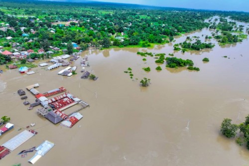 Rufiji Sel Felaketi İnsan Ürünüdür