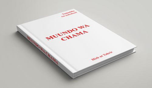 Muundo wa Chama