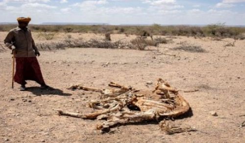 Wanawake na Watoto wa Kiislamu Wanakumbwa na Njaa Hadi Kufa Nchini Somalia huku Watawala wa Waislamu Wakiunga Mkono Ukandamizaji Ulimwenguni