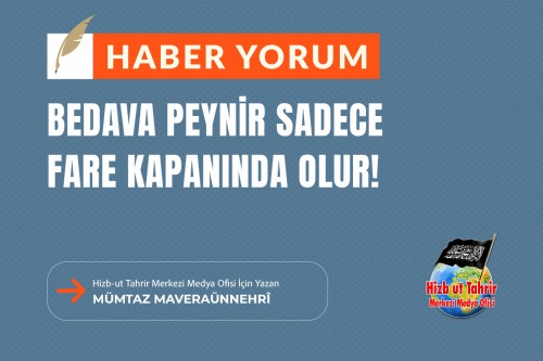 Bedava Peynir Sadece Fare Kapanında Olur!