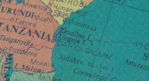 Zanzibar Ulusal Birlik Hükümetinin Kozmetik Önlemleri
