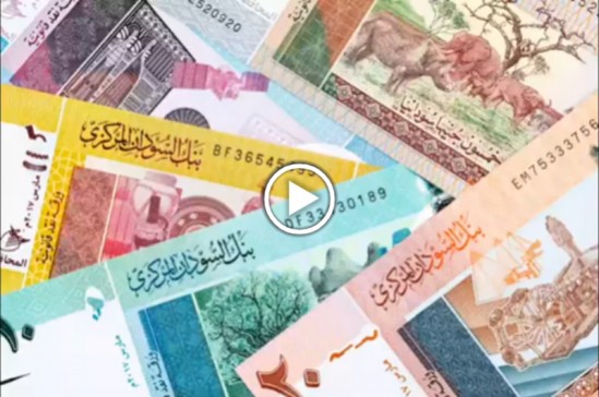 Sudan: “Sudan&#039;da Para Birimi Değişsin!”