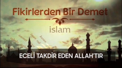 17 - Fikirlerden Bir Demet - Eceli Takdir Eden Allah&#039;tır