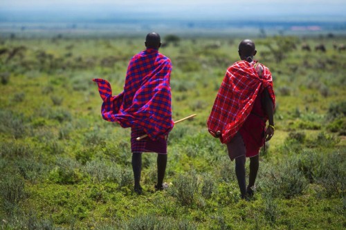 Ngorongoro Krateri Sorunu, Masai Topluluğunun Değil Kapitalizmin Sorunudur