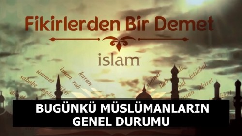 21 - Fikirlerden Bir Demet - Bugünkü Müslümanların Genel Durumu