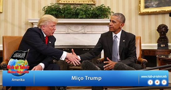 Miço Trump